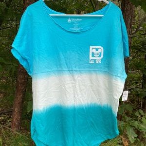 Disney World Spirit Jersey